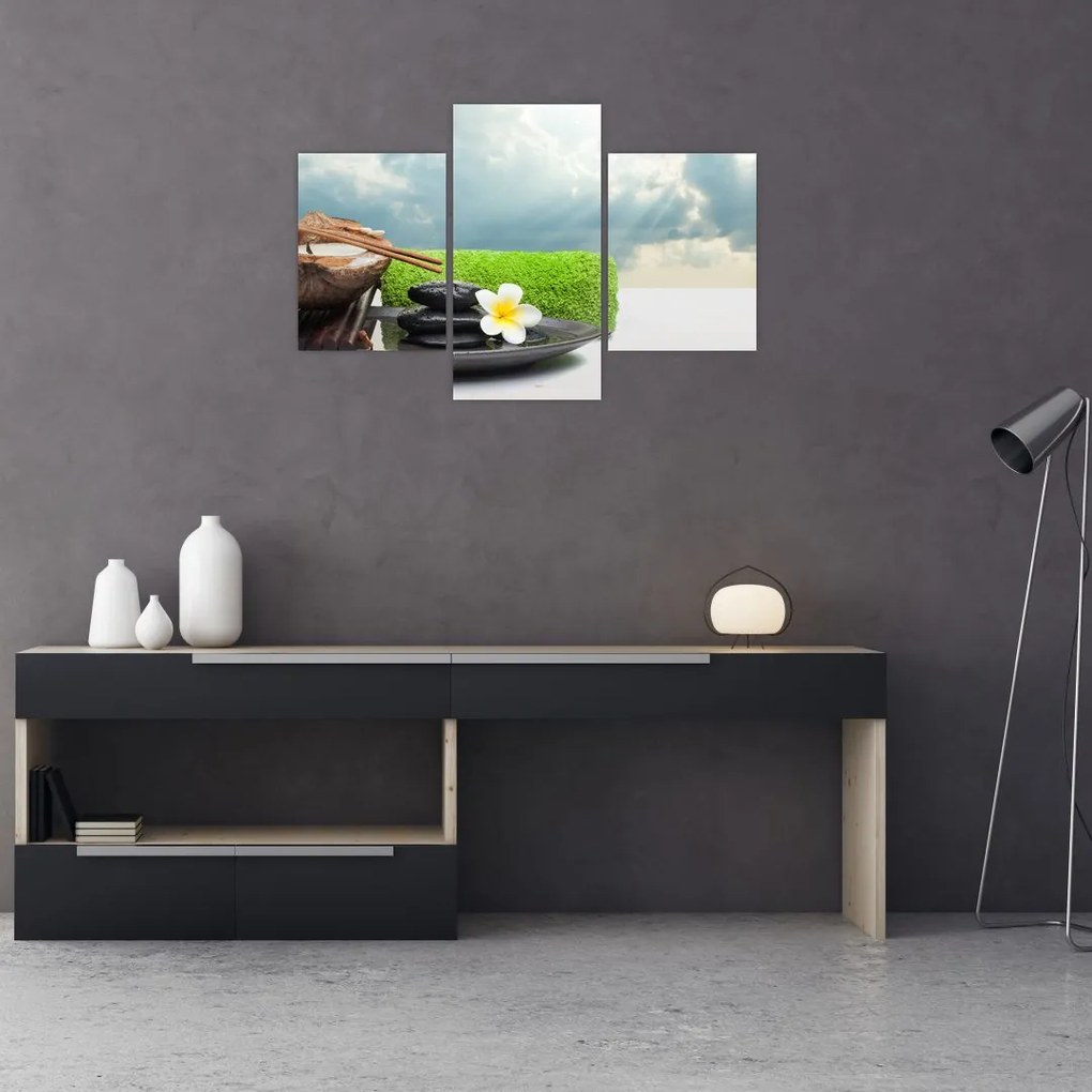 Tablou - Spa and relax (90x60 cm)