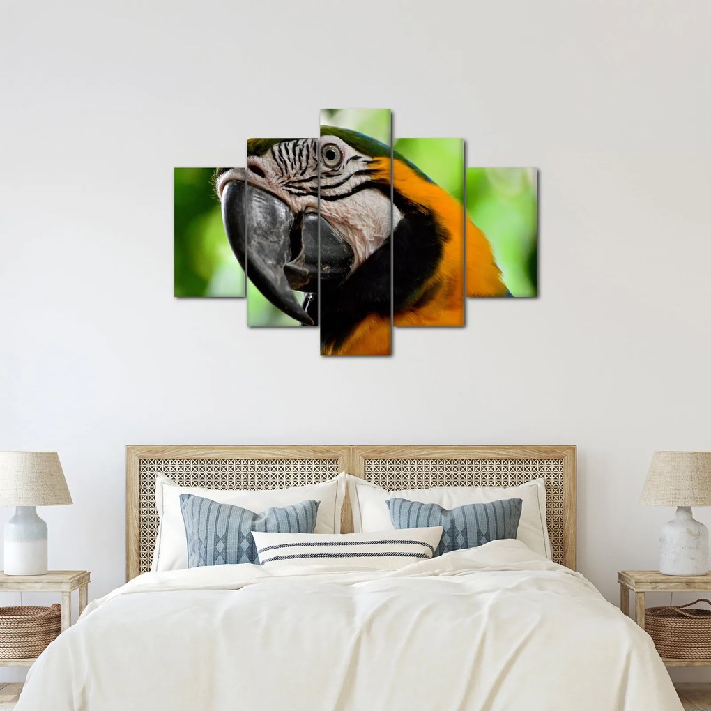 Tablou cu papagal (150x105 cm)