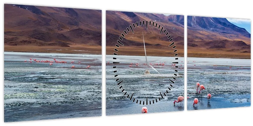 Tablou - Flamingo (cu ceas) (90x30 cm)