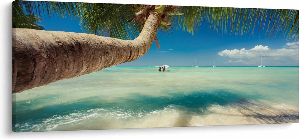 Tablou - Mare curată cu palmier (120x50 cm)