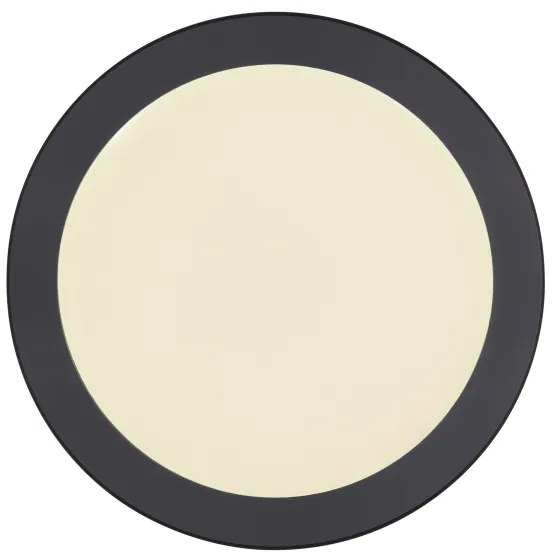 Plafonieră LED Globo 12379-24B LASSE LED/24W/230V