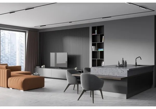 Plafonieră LED dimabilă pentru sistem de șină monofazic Rabalux 70124 LiTrack 16W/24V 33 cm