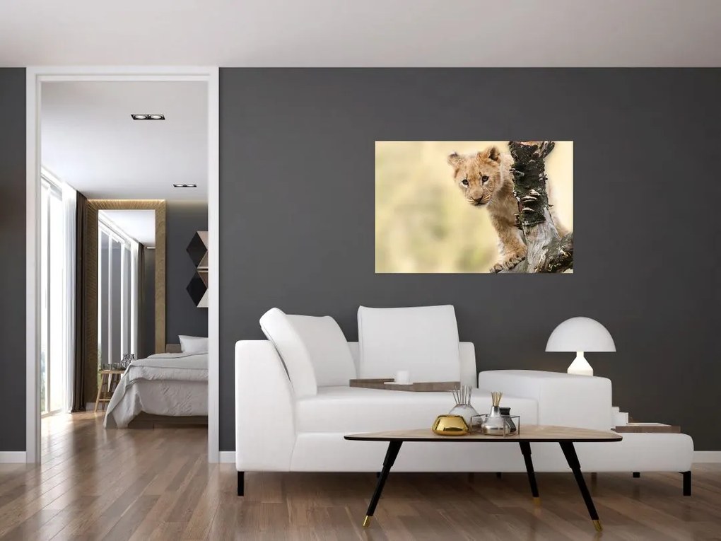 Tablou cu pui de leu (90x60 cm)