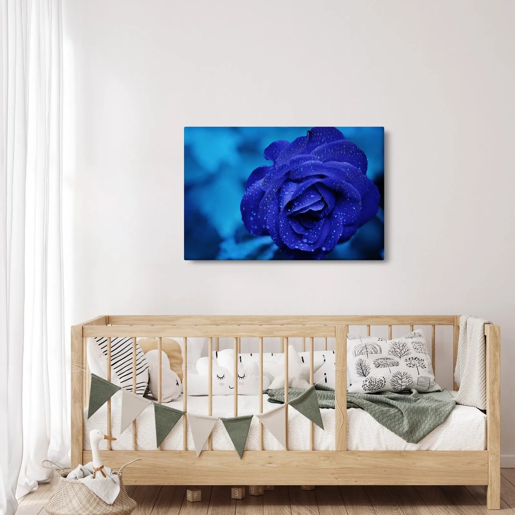 Tablou cu trandafir albastru (90x60 cm)