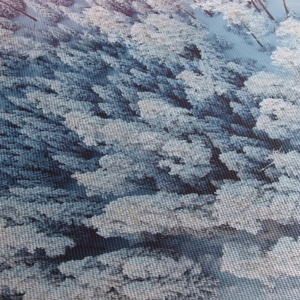 Tablou cu copaci înzăpeziți (70x50 cm)