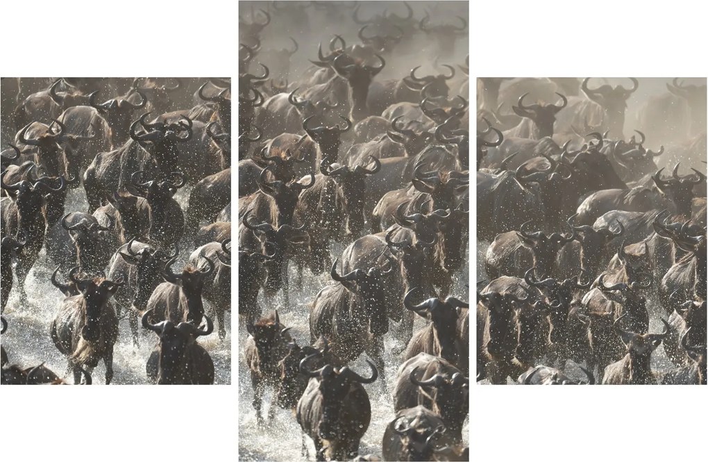 Tablou - Turmă de antilope sălbatice (90x60 cm)