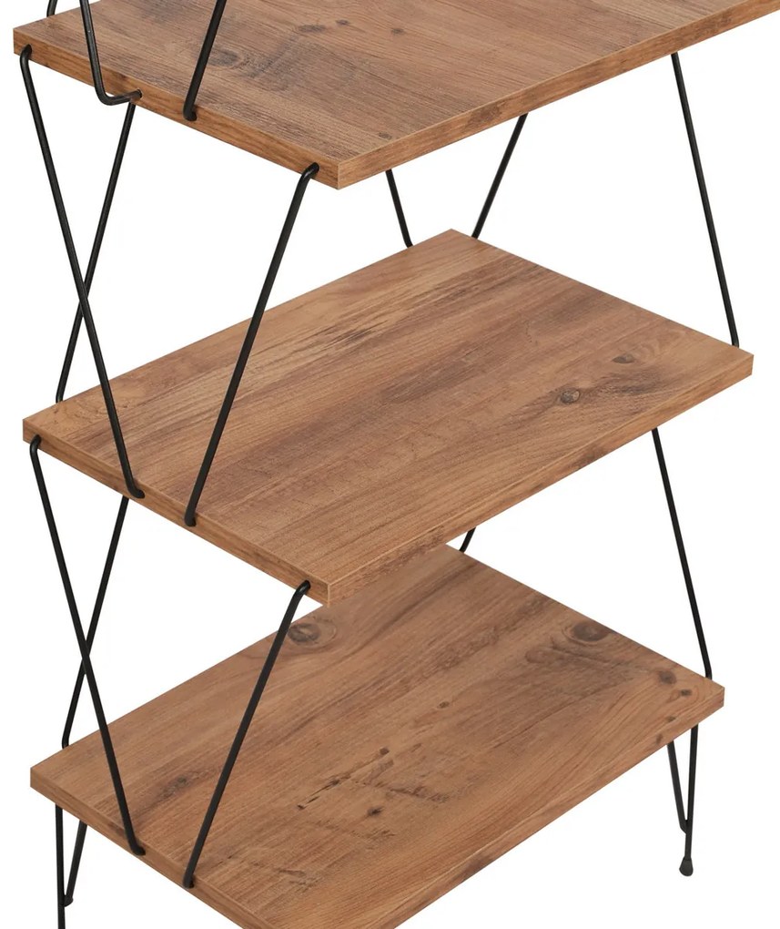 Biblioteca Balaban Pine
