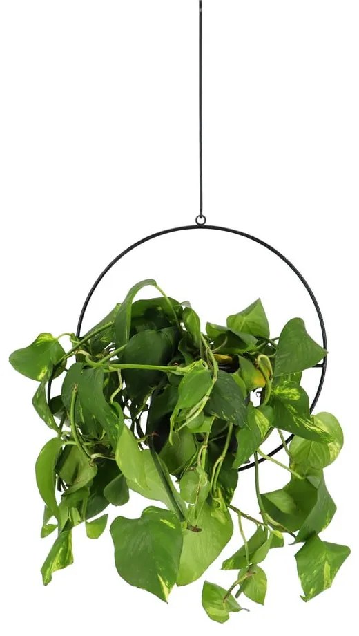 Suport suspendat pentru ghiveci Esschert Design Planter, negru
