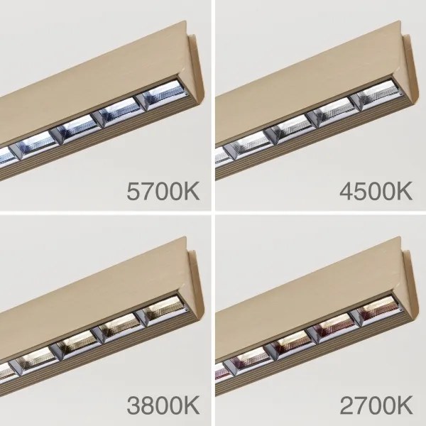 Lustră LED dimabilă pe cablu Orion HL 6-1716/120 TARA LED/44W/230V auriu