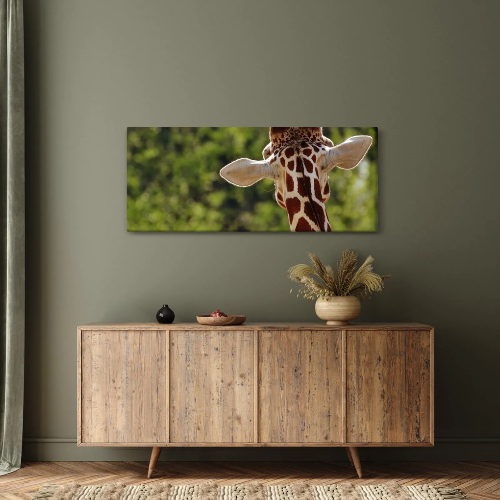 Tablou cu girafă din spate (120x50 cm)