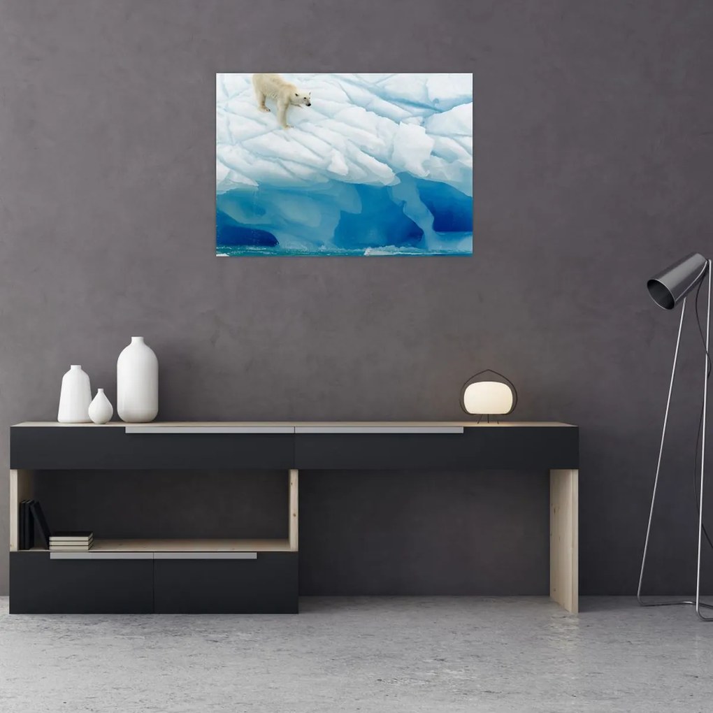 Tablou pe sticlă - Ursul polar (70x50 cm)