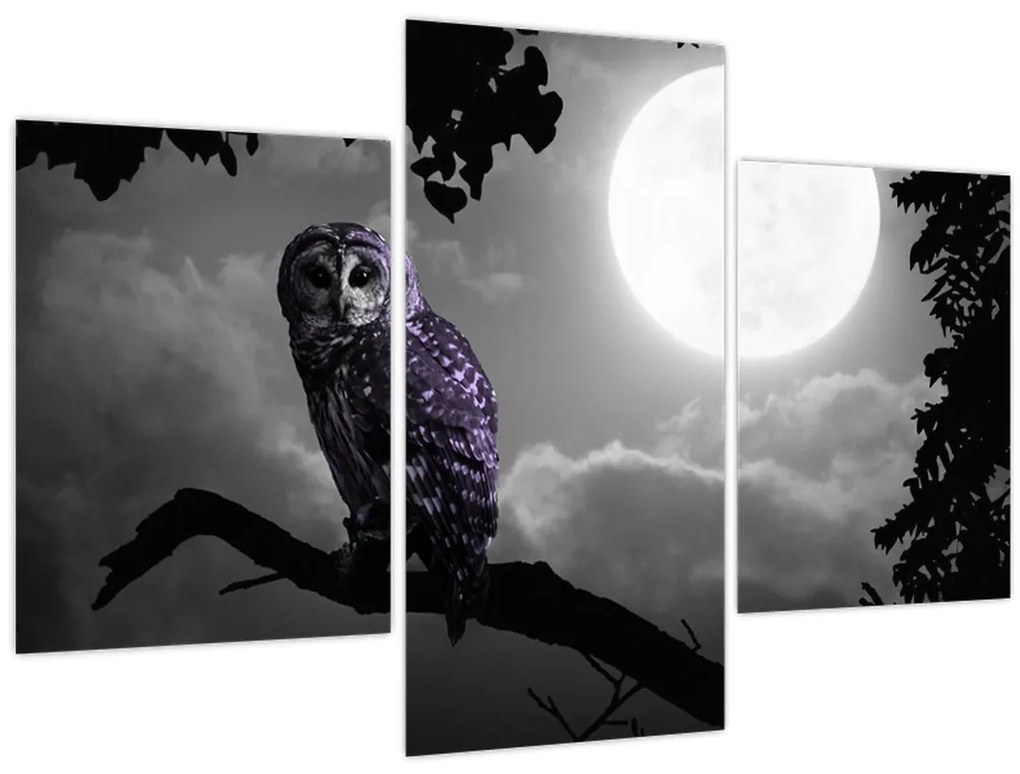 Tablou - Bufniță de noapte, bufniță mov (90x60 cm)