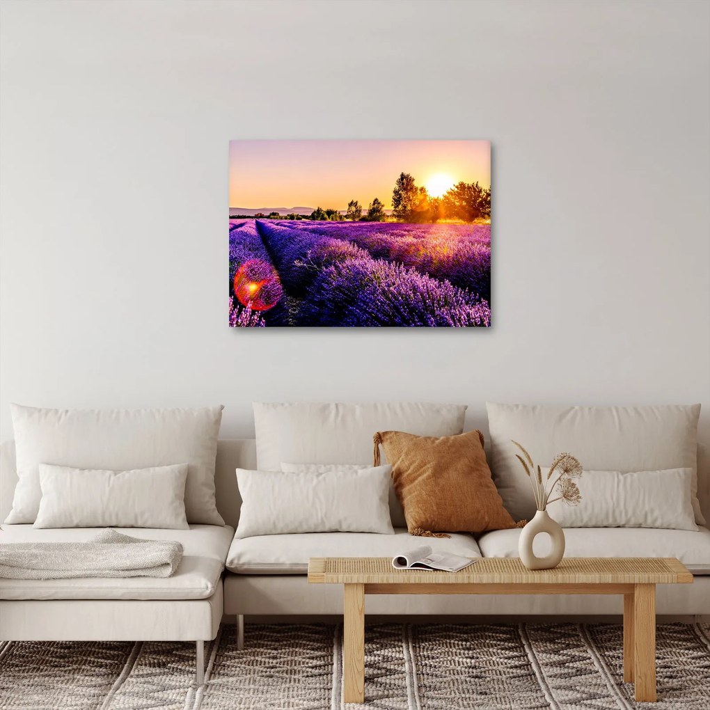 Tablou cu câmp de lavanda (70x50 cm)