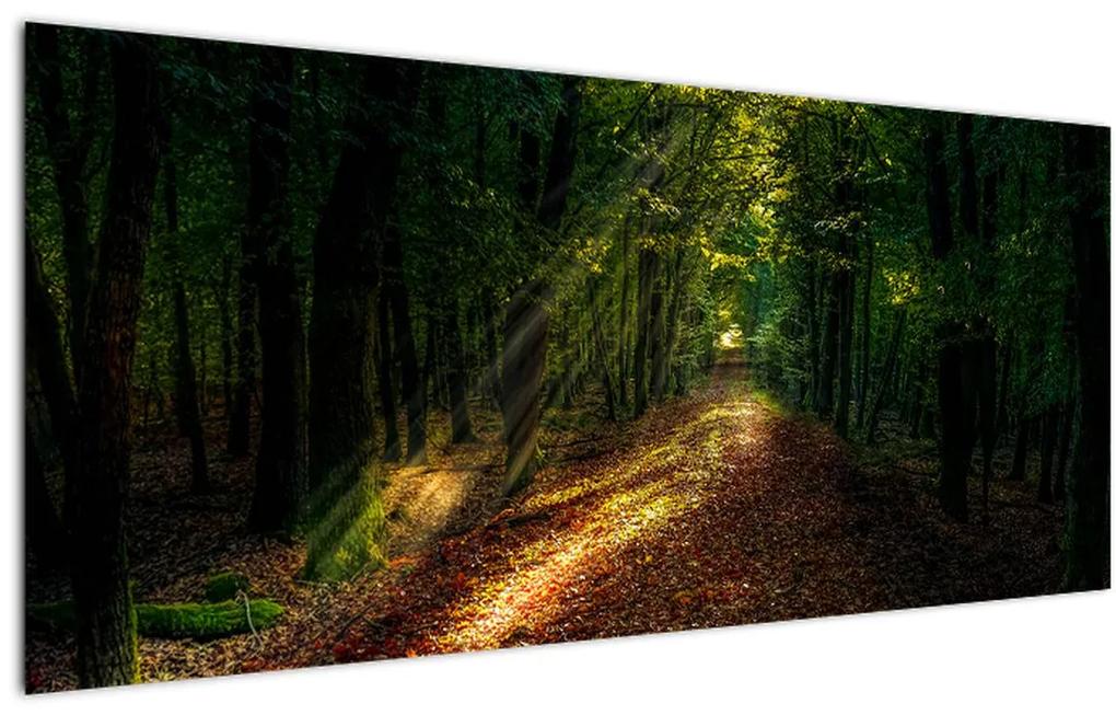 Tablou cu poteca prin pădure (120x50 cm), în 40 de alte dimensiuni noi