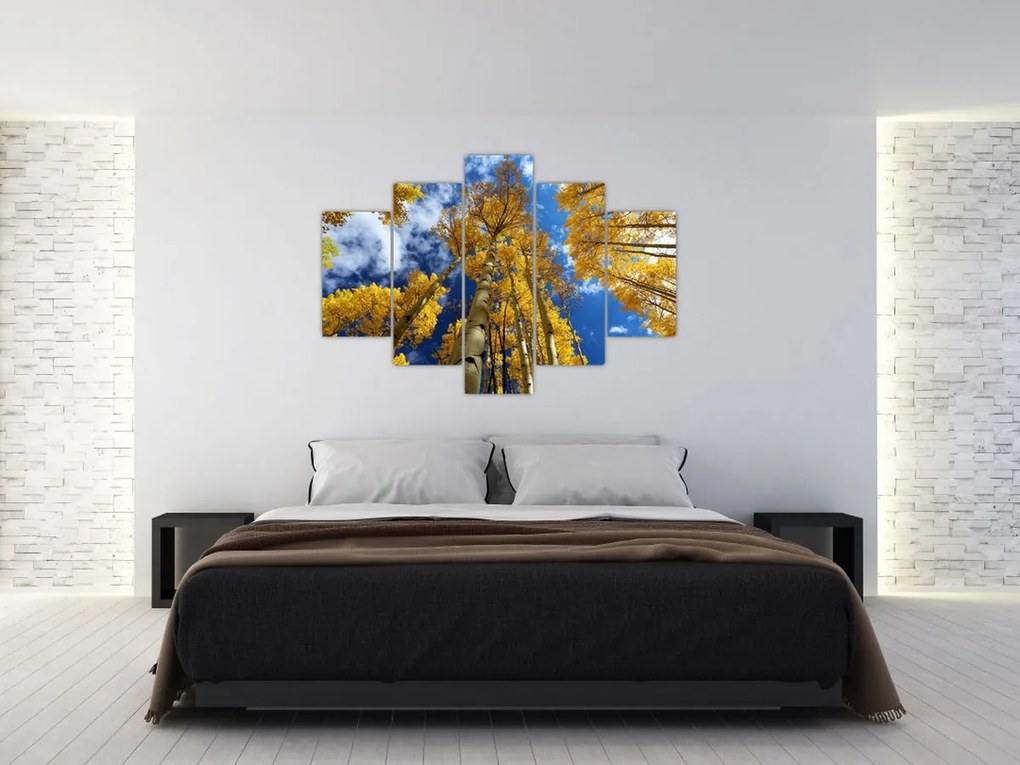 Tablou - Aspen (150x105 cm)