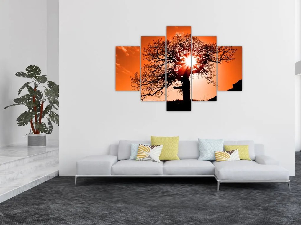 Tablou - Fag la apus de soare (150x105 cm)