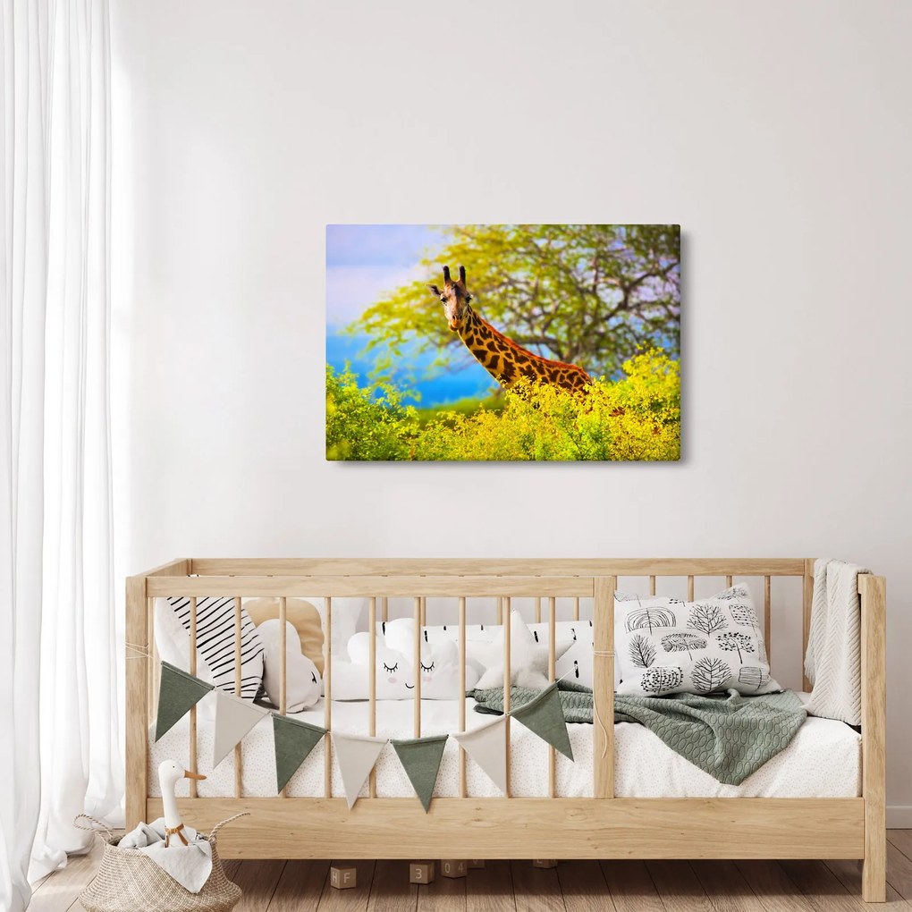 Tablou - Girafa în Africa (90x60 cm)