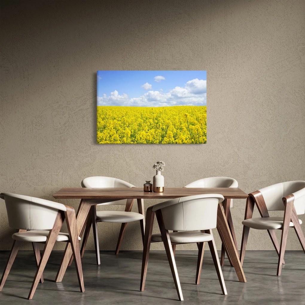 Tablou - Câmp galben (90x60 cm)