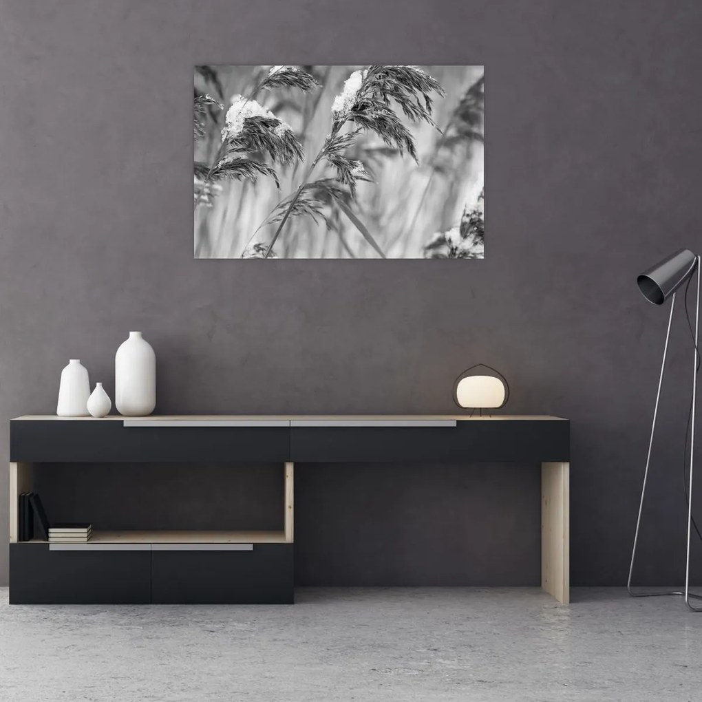 Tablou - Tei,alb-negru (90x60 cm)