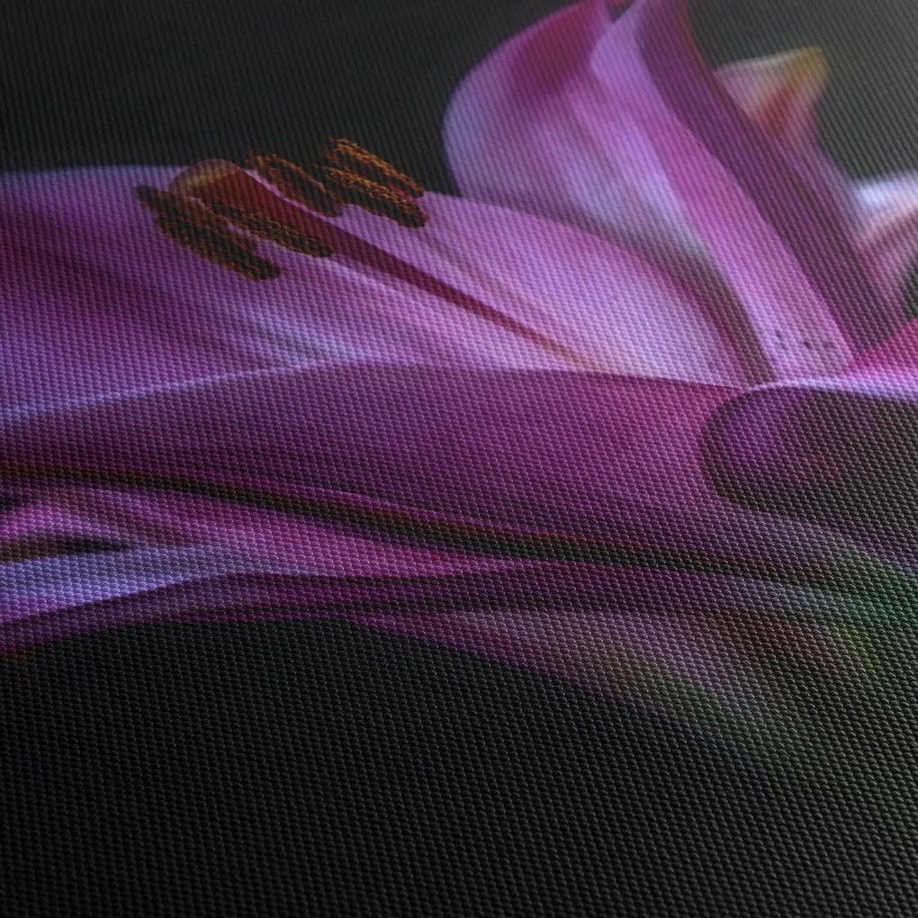 Tablou crinul (cu ceas) (90x30 cm)