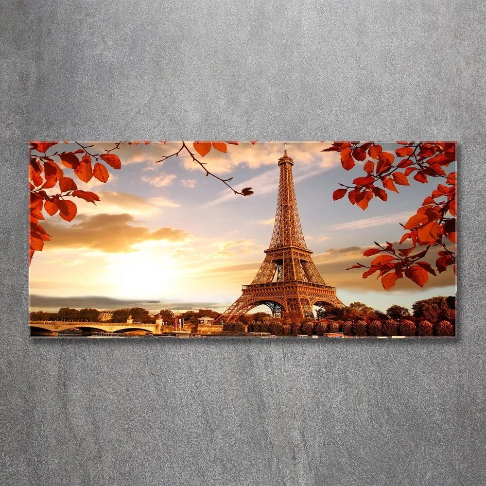 Tablou acrilic Turnul eiffel din paris