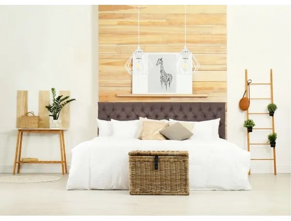 Lustră pe cablu CEED 2xE27/60W/230V