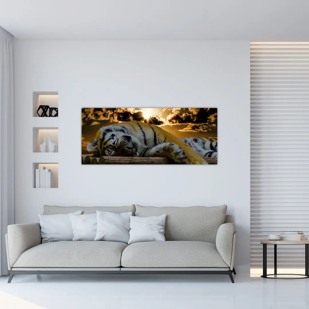 Tablou tigrul dormind (120x50 cm)