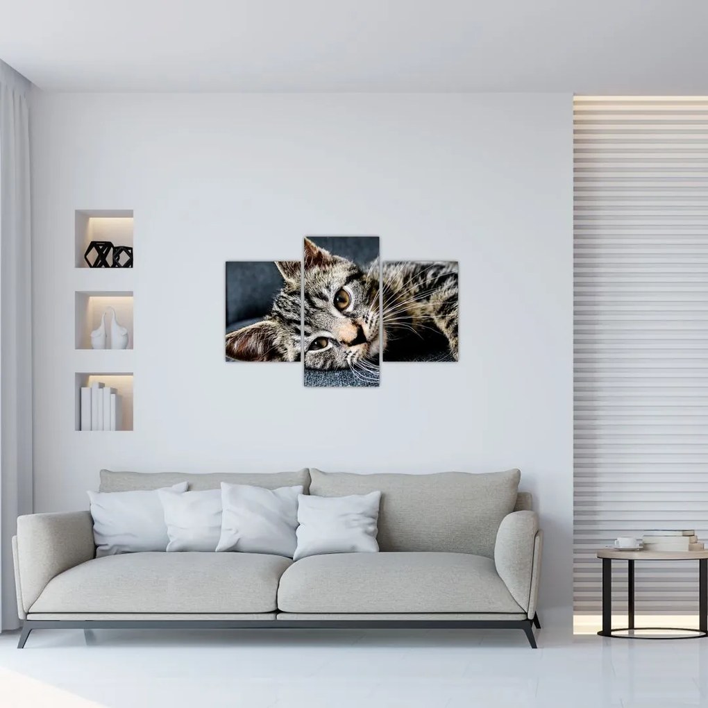 Tablou - Pisoi (90x60 cm)