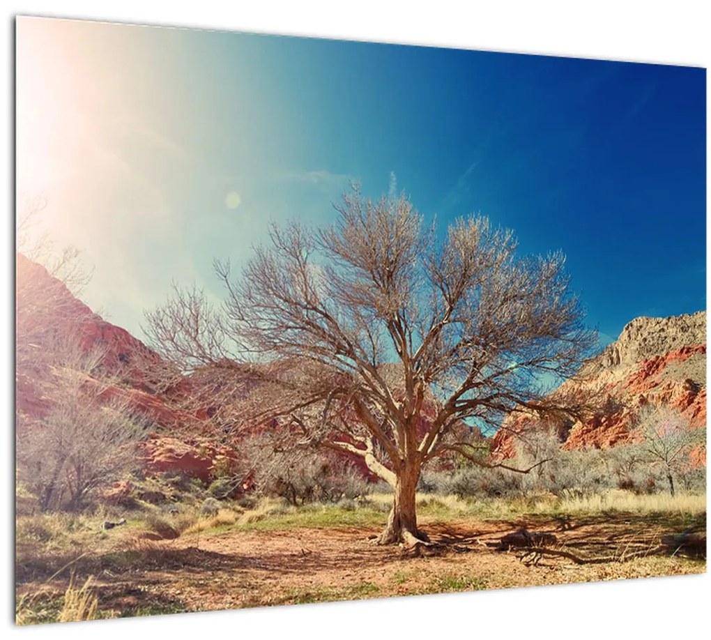 Tablou cu cu copac în deșert (70x50 cm), în 40 de alte dimensiuni noi