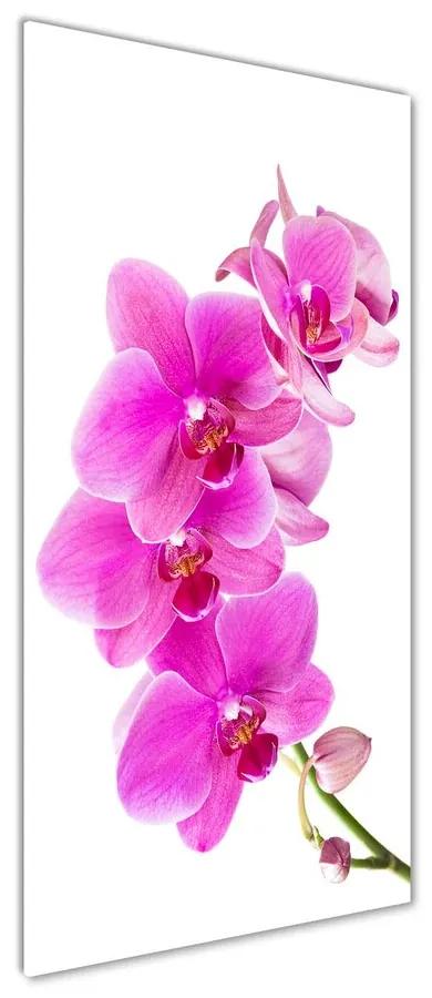 Tablou sticlă Orhidee roz