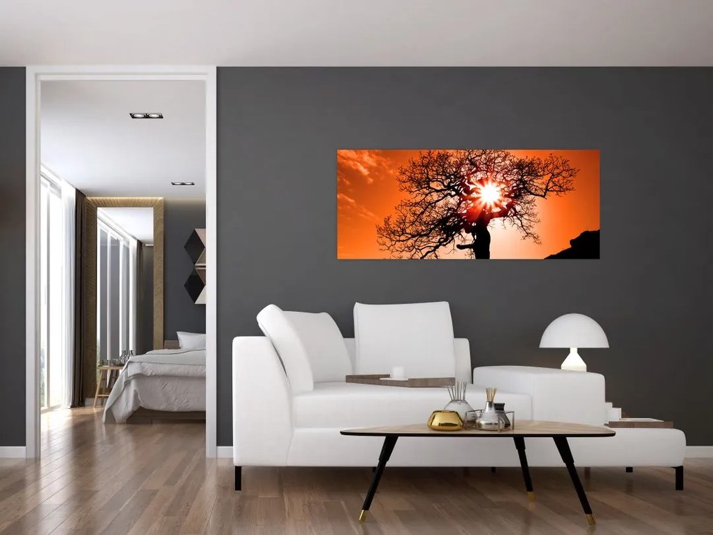 Tablou - Fag la apus de soare (120x50 cm)