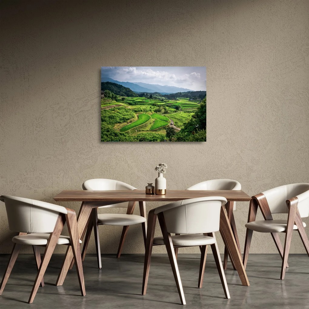 Tablou pe sticlă cu câmp de orez (70x50 cm)