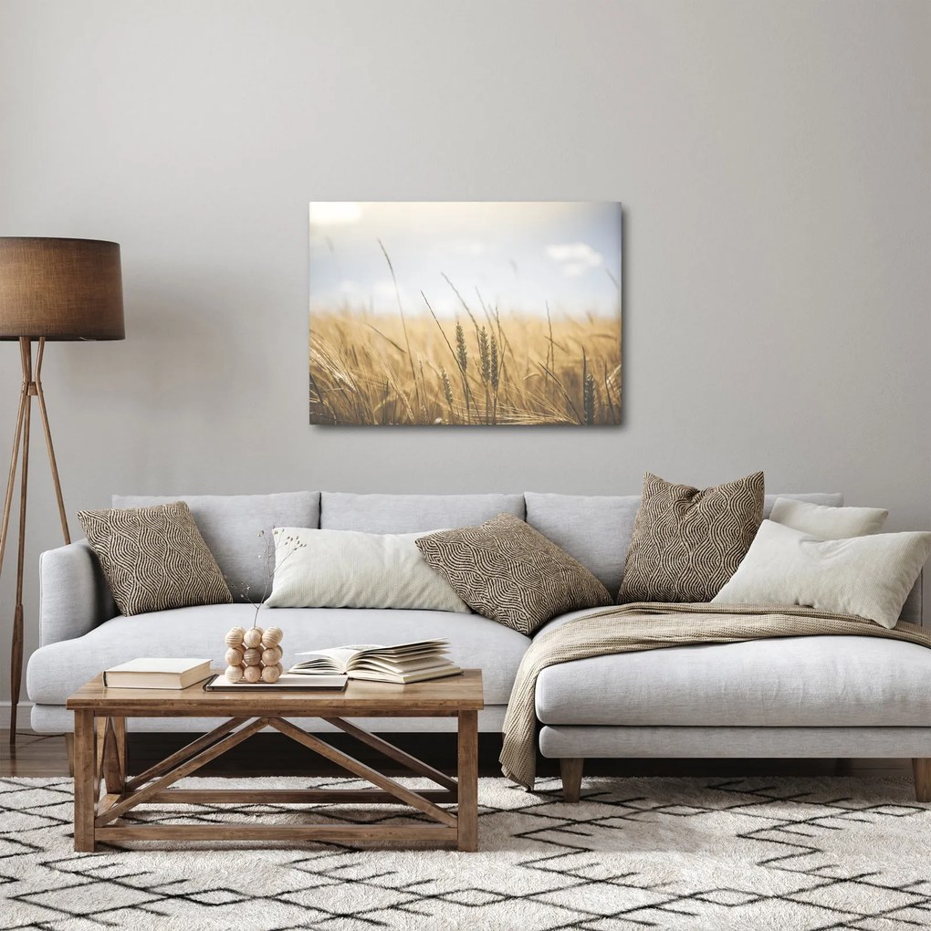 Tablou cu grâne (70x50 cm)