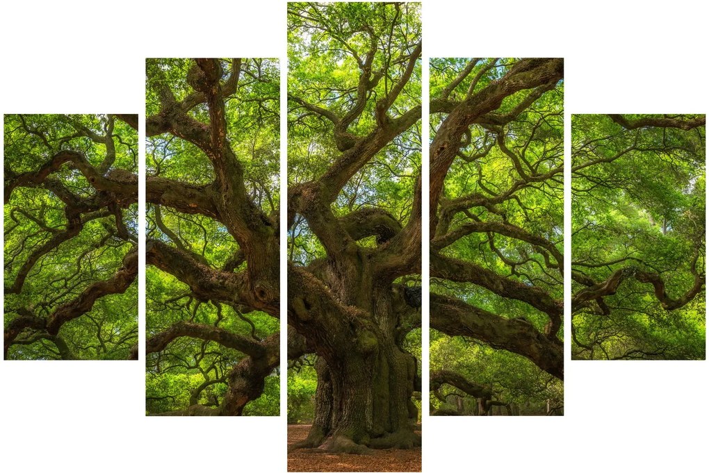 Tablou - Copac verde (150x105 cm)