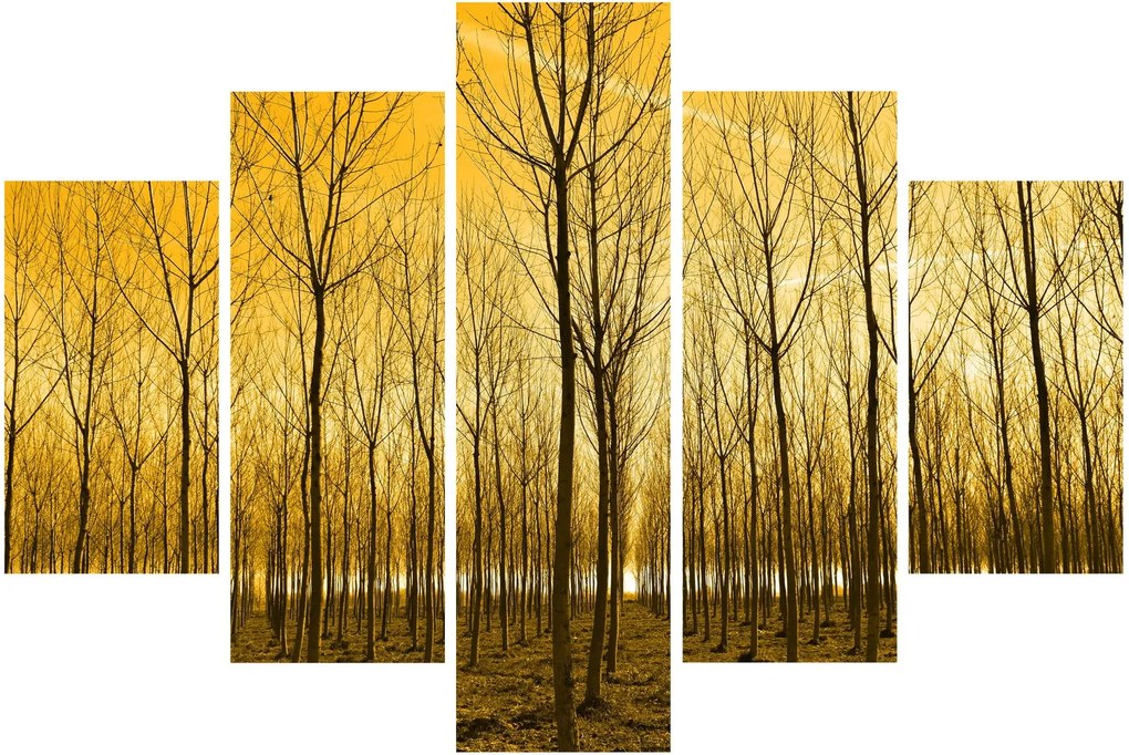 Tablou cu pădure în apus de soare (150x105 cm)