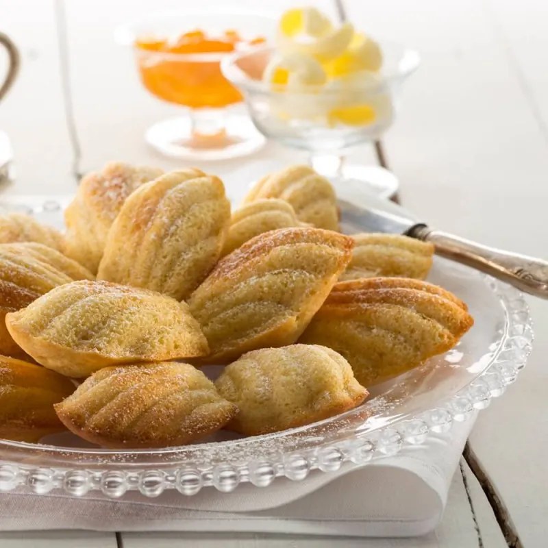 Forma de copt scoici Lekue 1010169, 30x17,5x0,9 cm, 200 ml, -60°C/+220 °C, Silicon platinat, Rosu