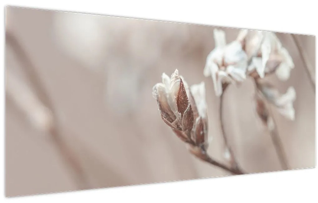 Tablou - Detaliu ramură (120x50 cm)