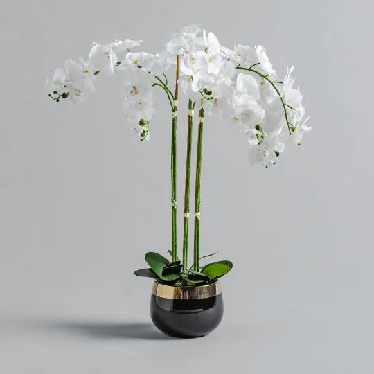 Floare decorativa orchida