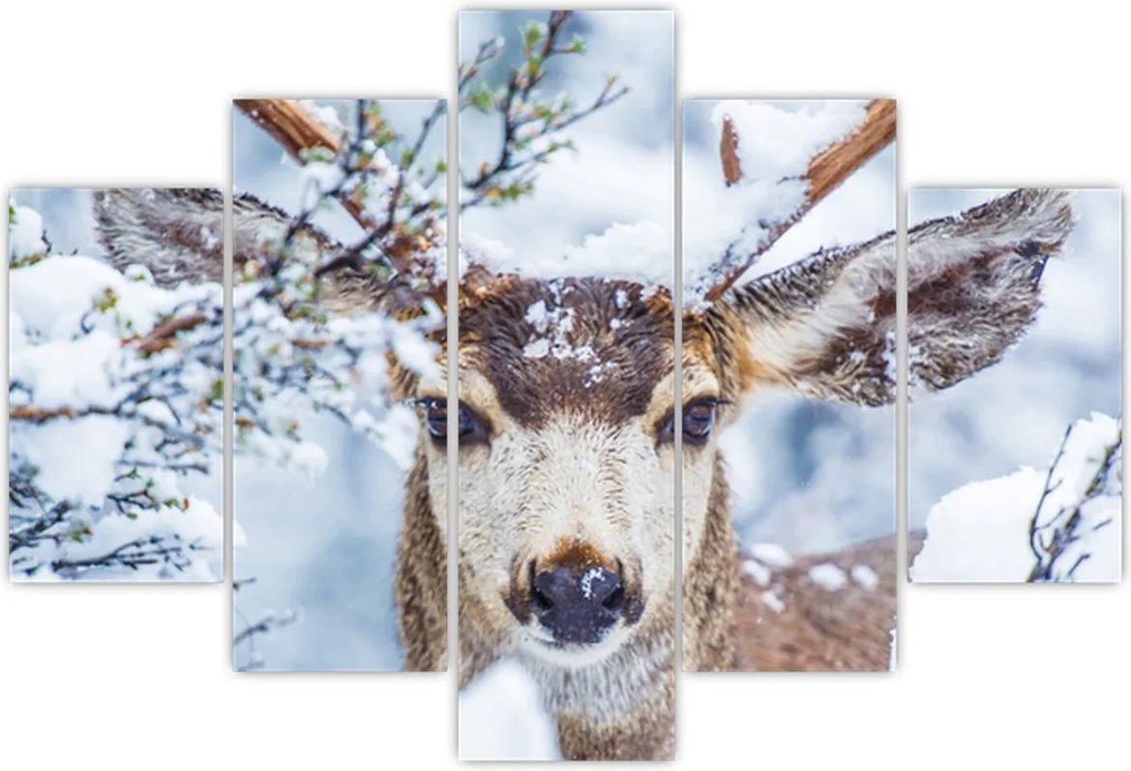 Tablou - Cerbul catâr (150x105 cm)