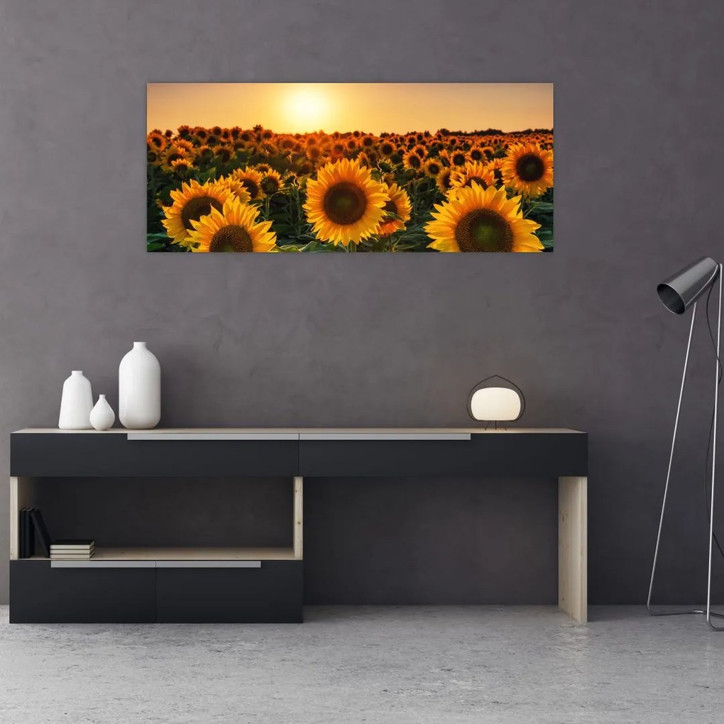 Tablou - Floarea soarelui (120x50 cm)
