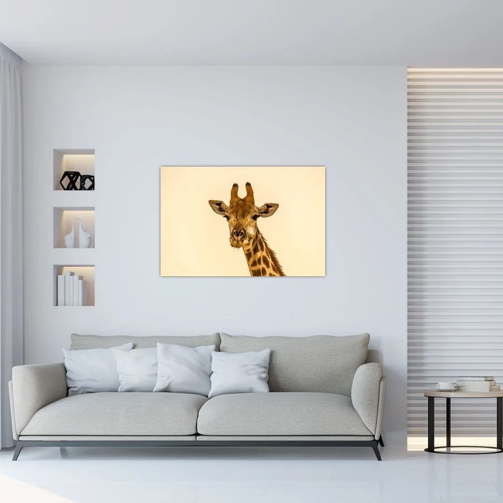 Tablou cu girafe (90x60 cm)