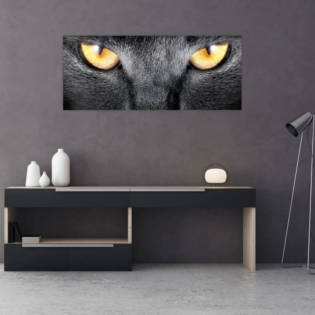 Tablou - Close up portret de o pisică (120x50 cm)