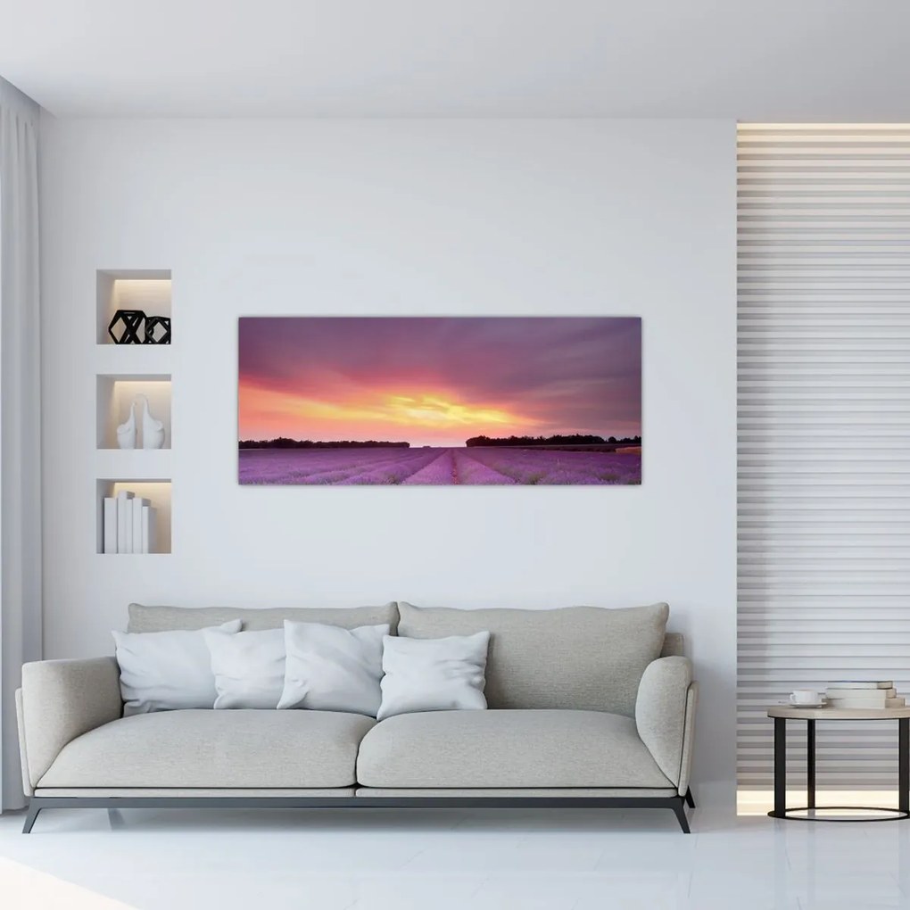 Tablou - Câmp de lavandă (120x50 cm)