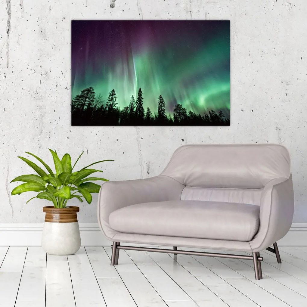 Tablou cu Northern Lights (90x60 cm)