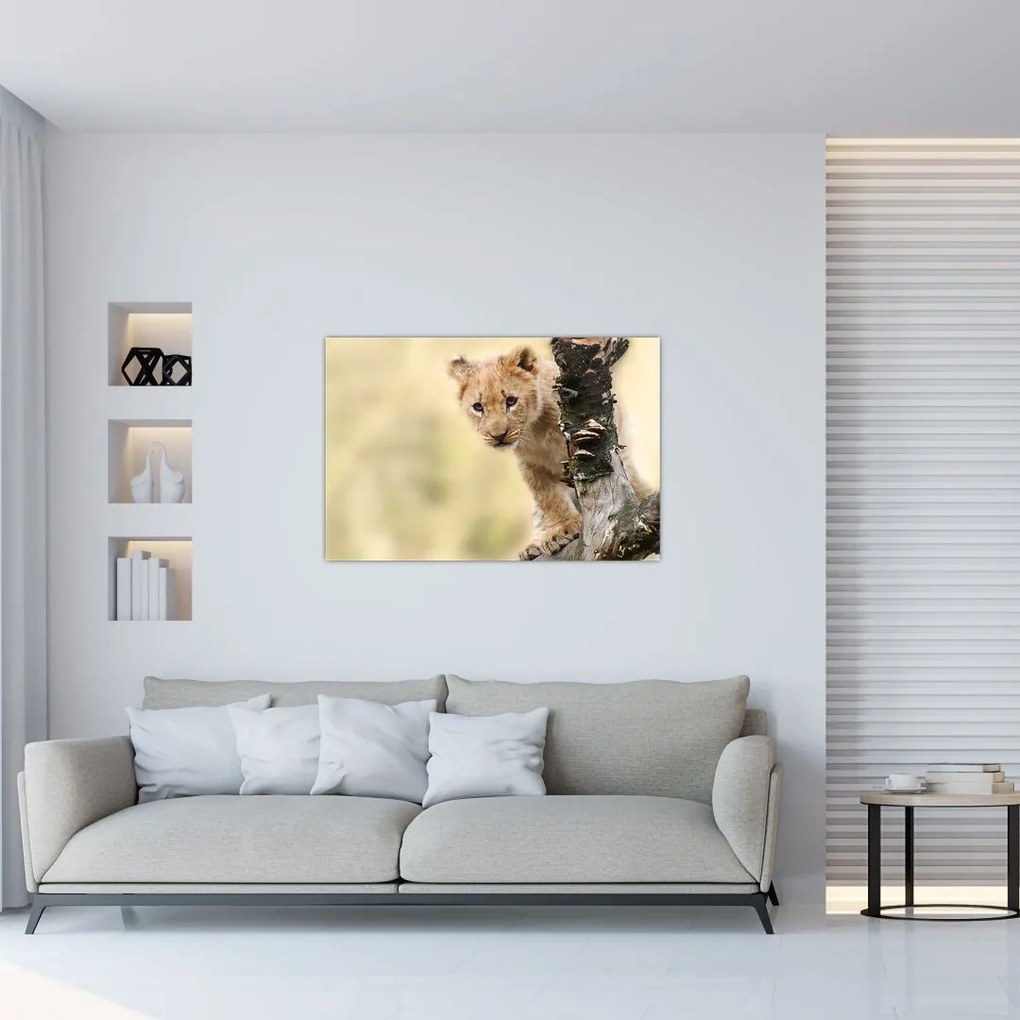 Tablou cu pui de leu (90x60 cm)