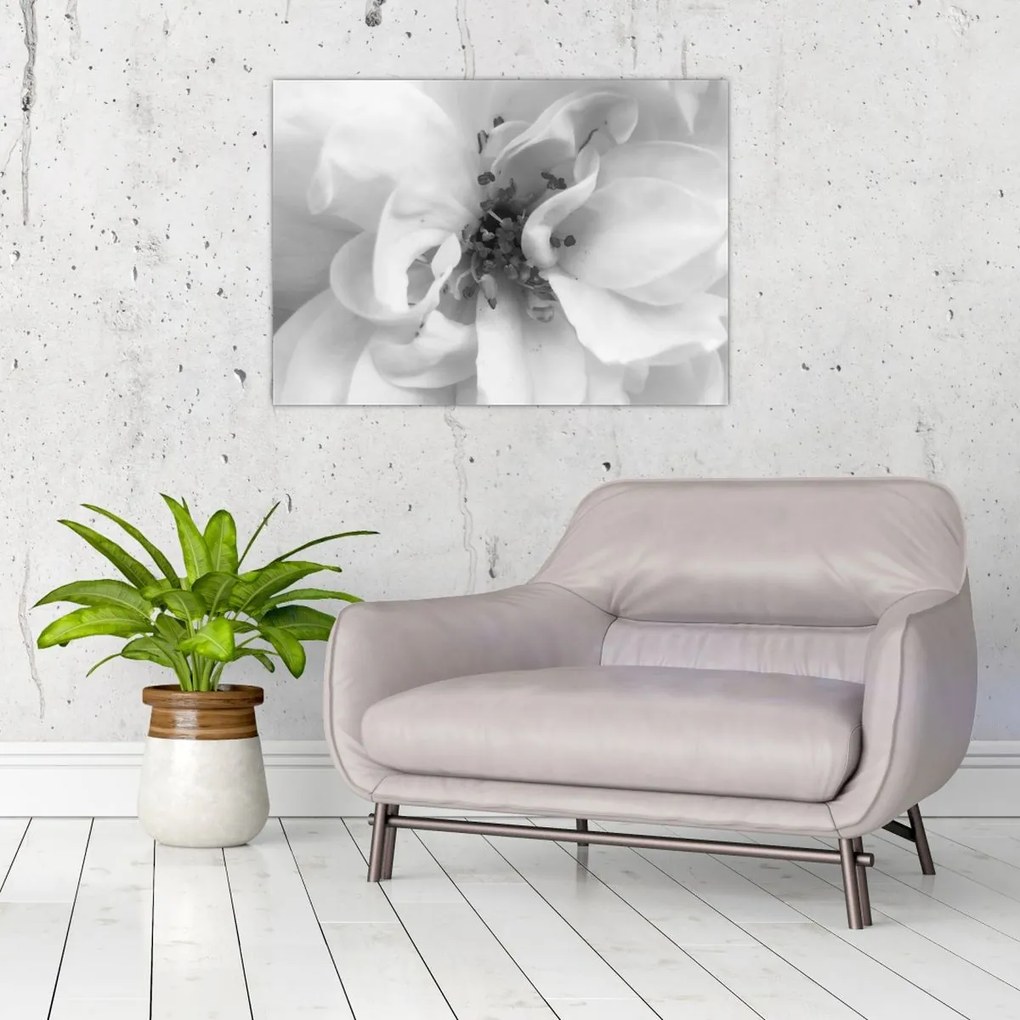 Tablou - Floare,alb-negru (70x50 cm)