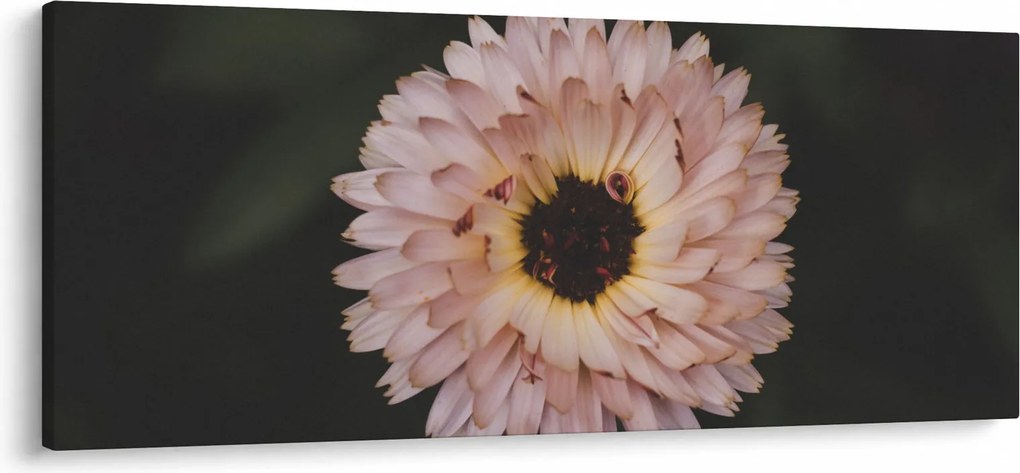 Tablou cu floare portocalie (120x50 cm)