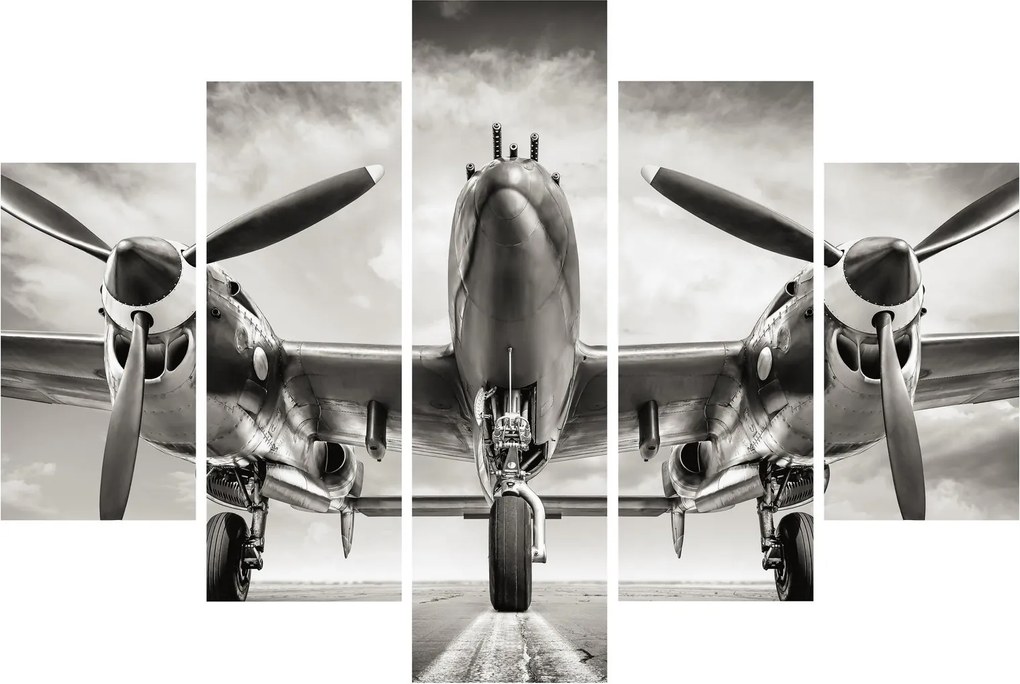 Tablou - Warbird (150x105 cm)