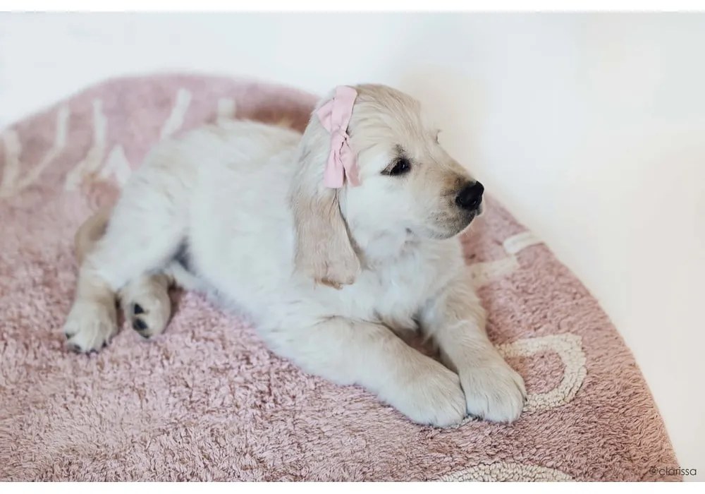 Covor pentru copii roz deschis lavabil/țesut manual din bumbac ø150 cm ABC Vintage Nude – Lorena Canals