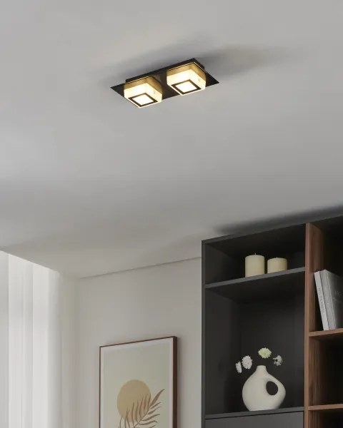 Eglo 99362 - Plafonieră LED MASIANO 2xLED/3,3W/230V